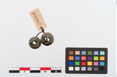 Foto von Glasaugenperle (NHMW-PRAE-024345)